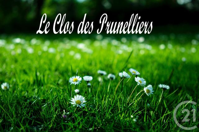 Afficher la photo en grand terrain à vendre - 474.0 m2 - PENESTIN - 56 - BRETAGNE - Century 21 Agence Bel Air