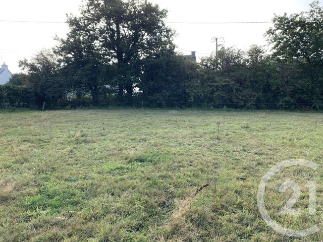 Afficher la photo en grand terrain à vendre - 396.0 m2 - ASSERAC - 44 - PAYS-DE-LOIRE - Century 21 Agence Bel Air