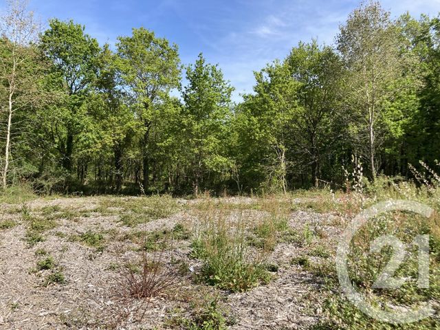 terrain à vendre - 1209.0 m2 - FEREL - 56 - BRETAGNE - Century 21 Agence Bel Air