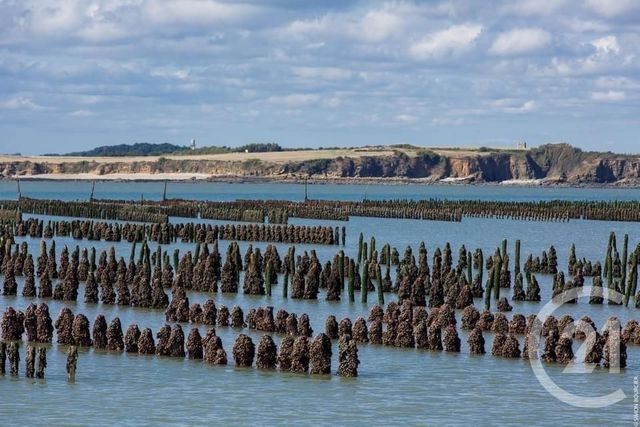 Appartement T2 à vendre - 2 pièces - 38.74 m2 - PENESTIN - 56 - BRETAGNE - Century 21 Agence Bel Air