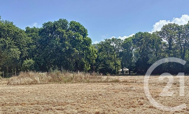 Afficher la photo en grand terrain à vendre - 3972.0 m2 - PENESTIN - 56 - BRETAGNE - Century 21 Agence Bel Air