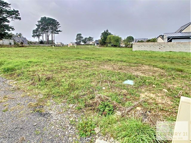 terrain - PENESTIN - 56